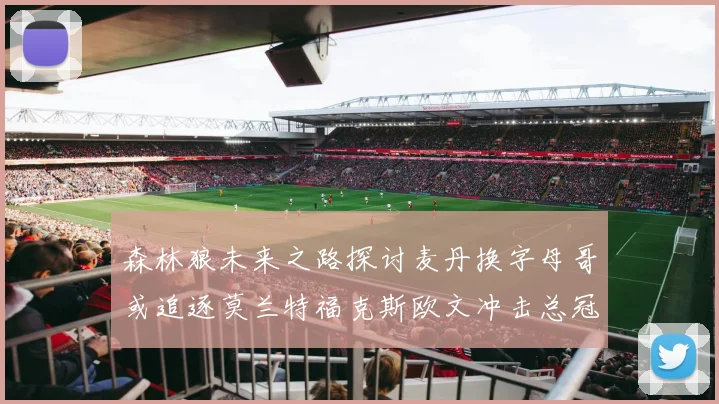 森林狼未来之路探讨麦丹换字母哥或追逐莫兰特福克斯欧文冲击总冠军